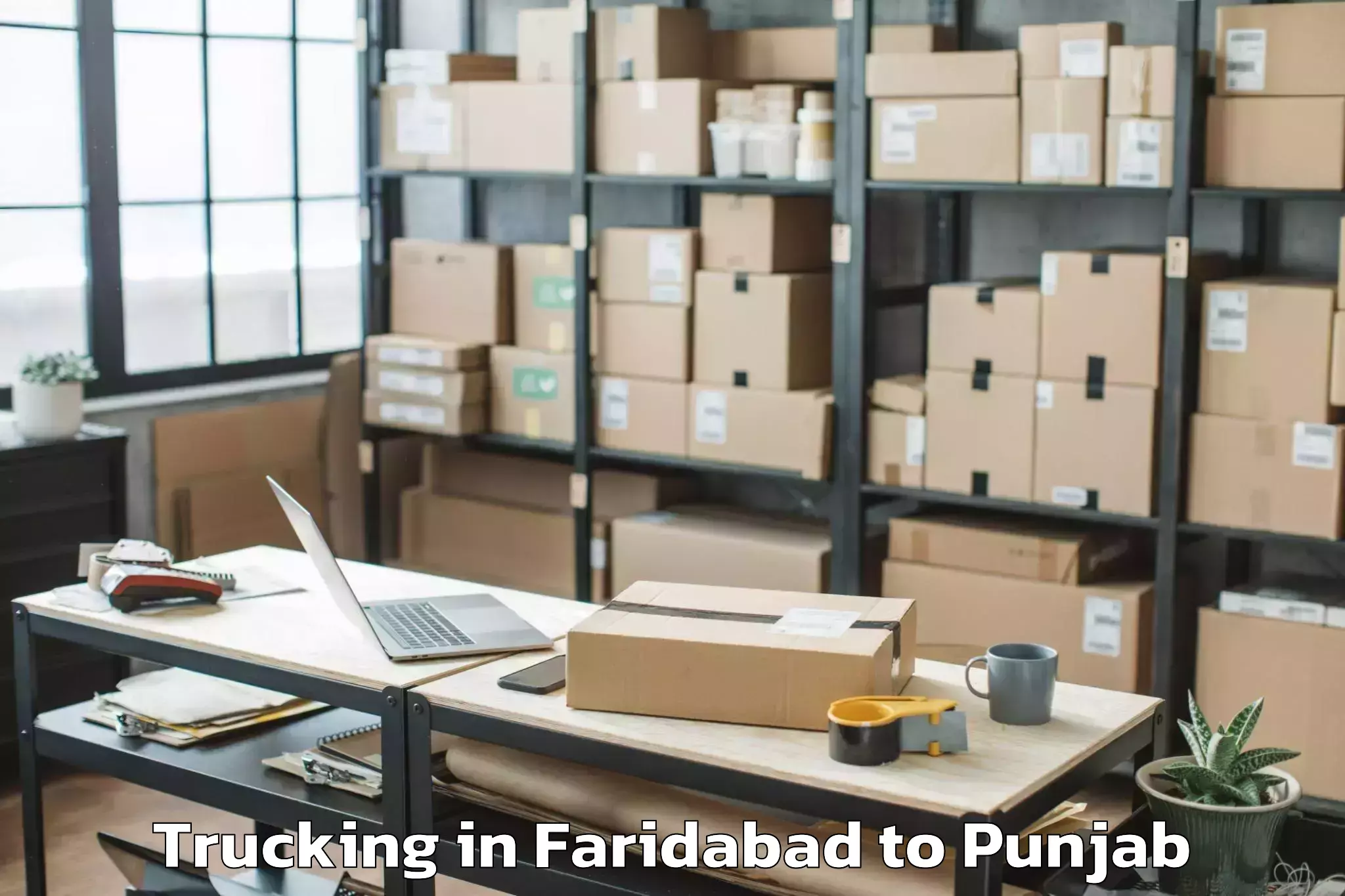 Professional Faridabad to Fazilka Trucking